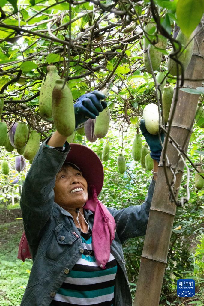 炸三张金花游戏下载大全